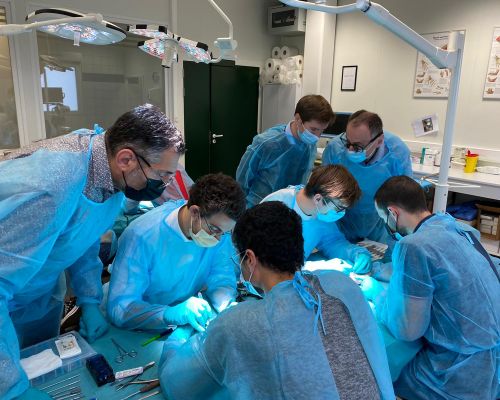 chirurgien main Cours pratique au laboratoire d’anatomie Kérimédical
